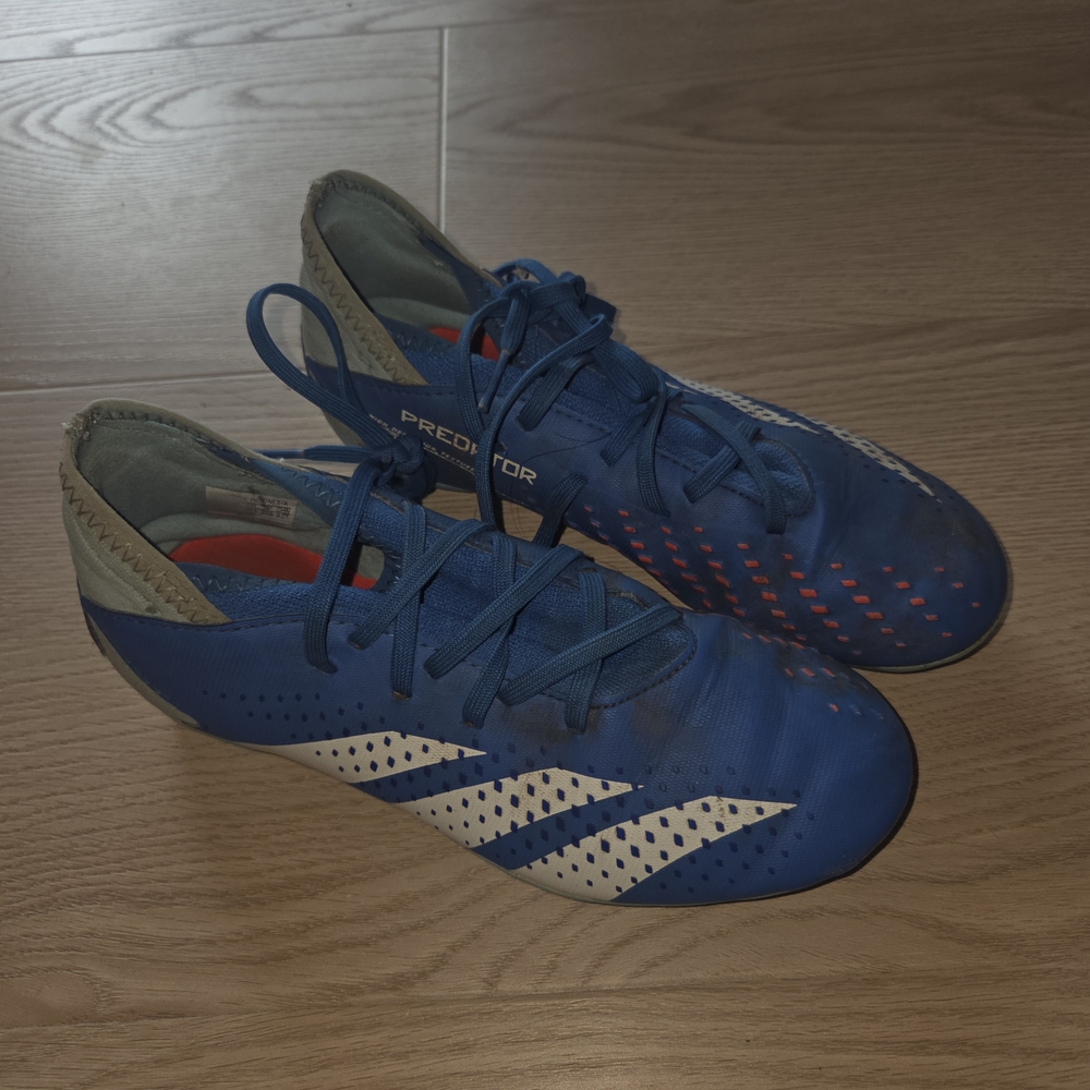 Adidas Predator Blue Soccer Shoes